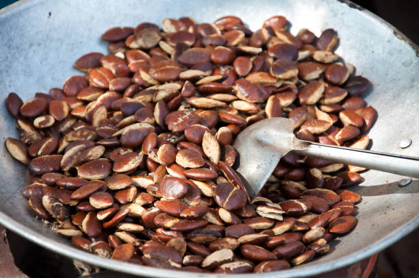 istock Roasting bean in the pan at Laos 1042830764