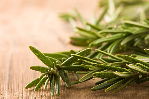 Rosemary  rosemary stock pictures, royalty-free photos & images