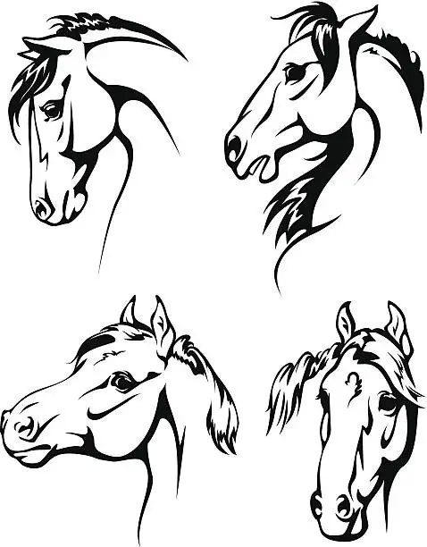 Vector illustration of Four horse heads