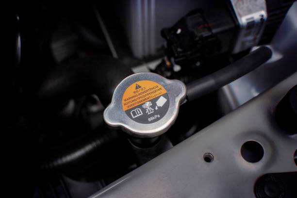 istock Radiator Cap of radiator cooling system 1042833576