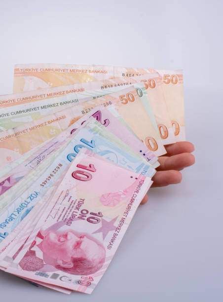 istock Hand holding Turksh Lira banknotes  in hand 1042835760
