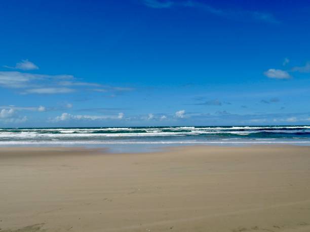 istock Beach on the Fraser Island, Australia 1042835946