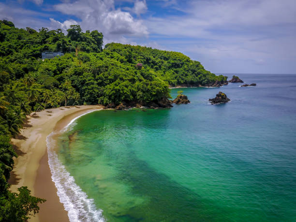 Amazing seabird (aerial) view of a tropical beach, palm trees, blue sky, calm sea, beautiful day Amazing seabird (aerial) view of a tropical beach, palm trees, blue sky, calm sea, beautiful day tobago stock pictures, royalty-free photos & images