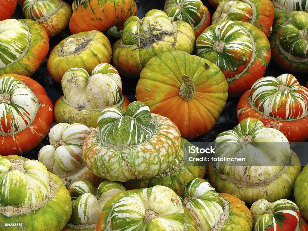 Kürbisse - Lizenzfrei Bauernmarkt Stock-Foto