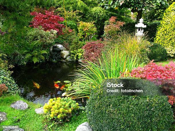 Japanischer Garten Stockfoto und mehr Bilder von Wassergarten - Wassergarten, Japanischer Garten, Roter Ahorn