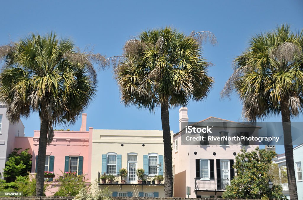 3 야자수잎, 찰스턴, 사우스캐롤라이나 - 로열티 프리 찰스턴-사우스 캐롤라이나 스톡 사진