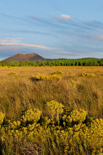 istock Sunset Crater from Bonito Park 1042852018
