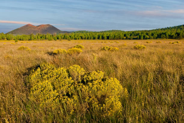 Sunset Crater from Bonito Park