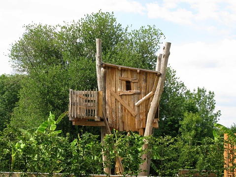 Tree house, a play paradise for children