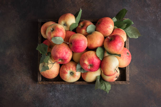 istock Red apples in wooden box 1042867690