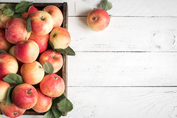 istock Red apples in wooden box 1042867704