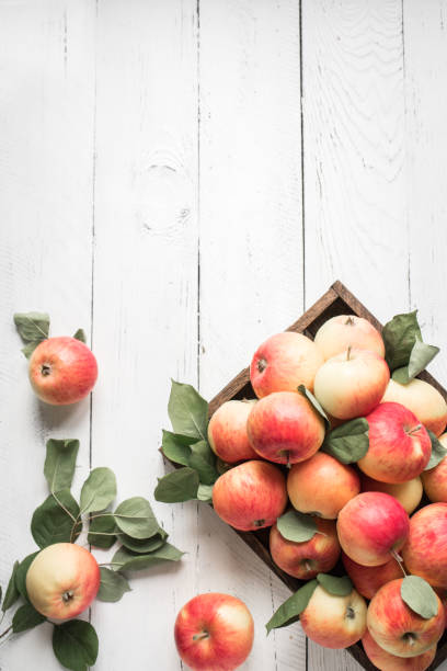istock Red apples in wooden box 1042867716