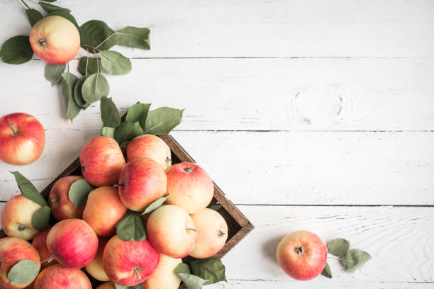 istock Red apples in wooden box 1042867718