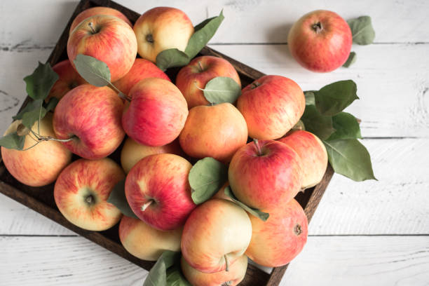 istock Red apples in wooden box 1042867860