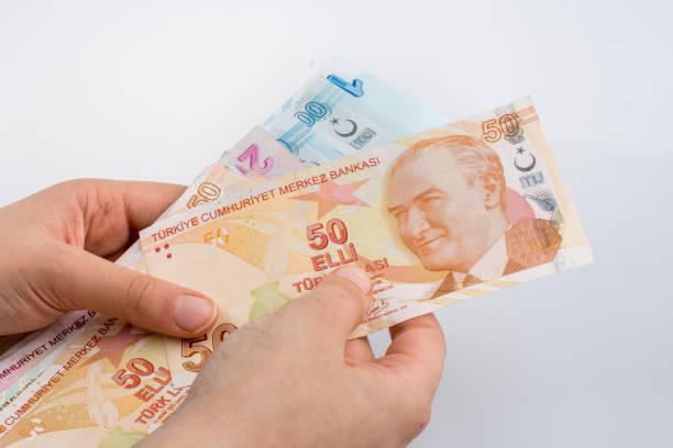 istock Hand holding Turksh Lira banknotes  in hand 1042876396