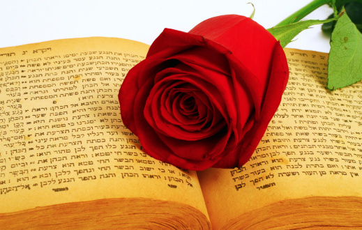 Close up red rose and ear of wheat on stack of books for Diada de Sant Jordi. Tradition of St Jordi Day in Catalonia. Catalan book and rose flower day. Horizontal copy space with white background.