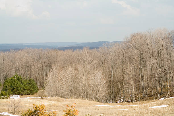 istock Rolling Hills of Michigan 104287871