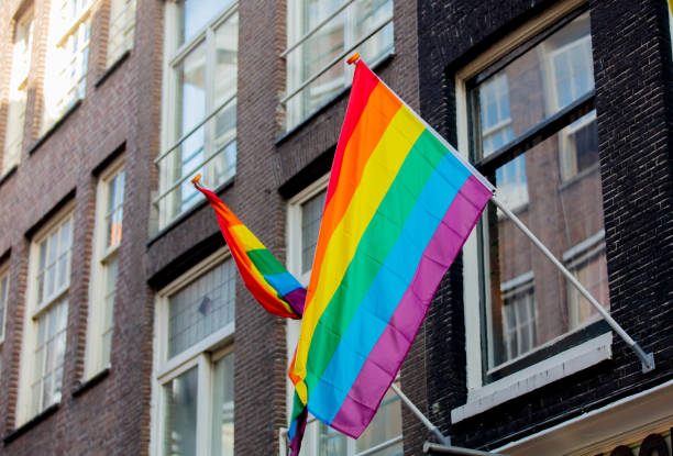 istock Pride gay flag on building in Amsterdam 1042887694