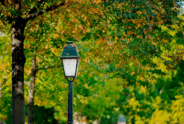 Vintage street lamp with near a tree in fall season. Strasburg, France
