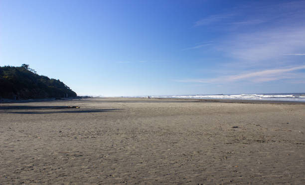 istock Coastal Ocean Beach Blue Sky Clouds Reflections and Sea Birds 1042890700