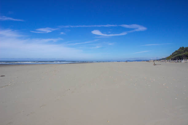 istock Coastal Ocean Beach Blue Sky Clouds Reflections and Sea Birds 1042891380