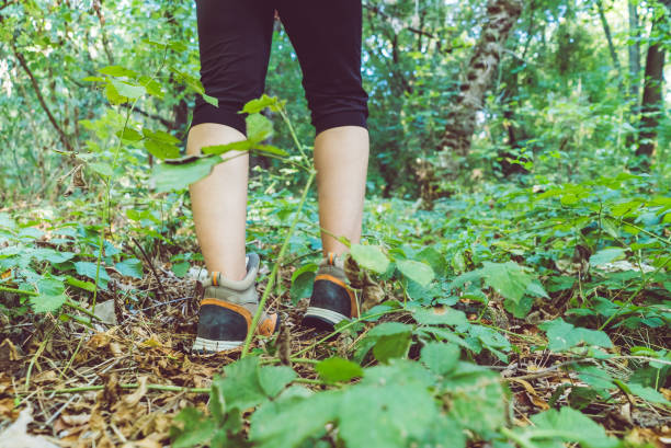 istock Women shoe in deep forest. Exploring nature. 1042891456