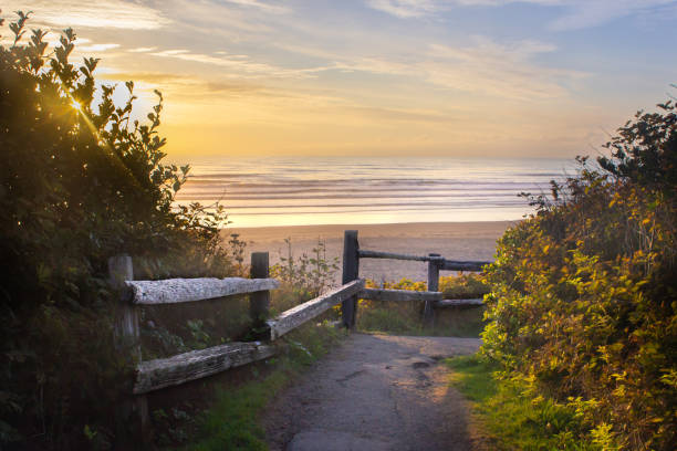 istock Sunset at a Coastal Ocean Beach 1042894052