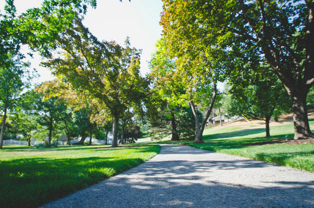 istock The wide sidewalk through the park 1042894544