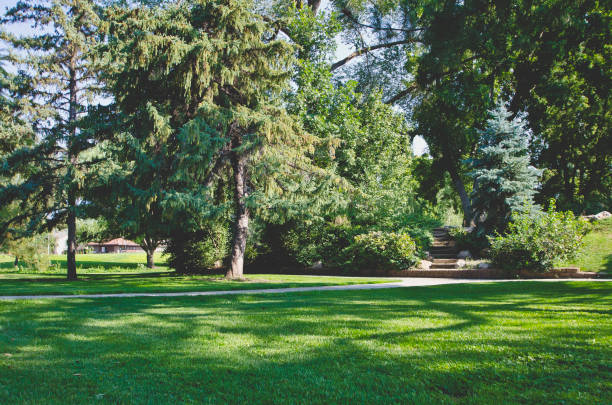 istock The wide open green park lawn 1042894566