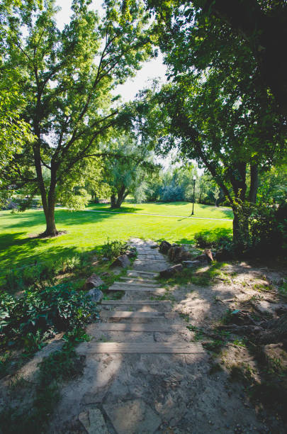istock The long view of the green park path 1042894726