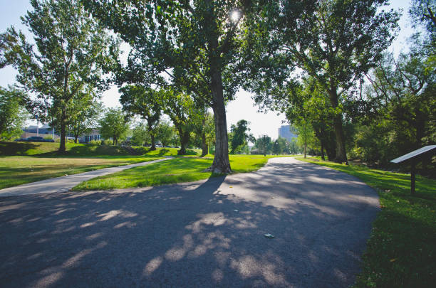 istock The wide open green park walkway 1042894998