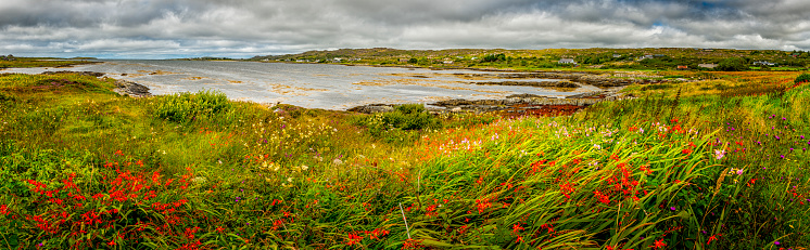 panorama of typical landscape in Ireland