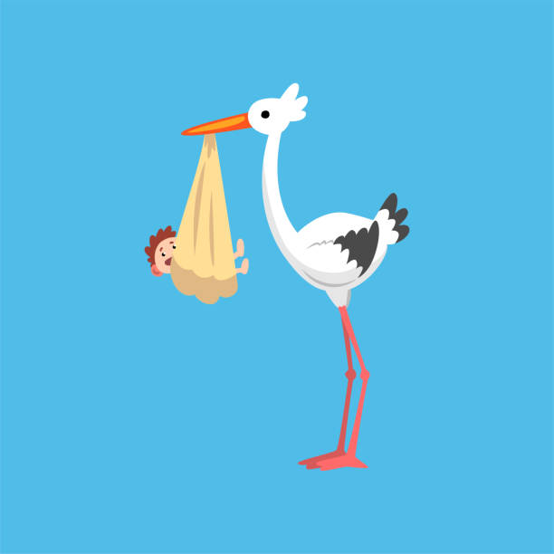 istock White stork delivering a newborn baby, stork with a bundle, template for baby shower banner, invitation, poster, greeting card vector Illustration 1042897090