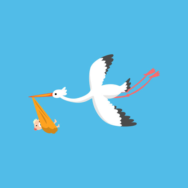 istock Stork delivering cute newborn baby, flying bird carrying a bundle, template for baby shower banner, invitation, poster, greeting card vector Illustration 1042897096