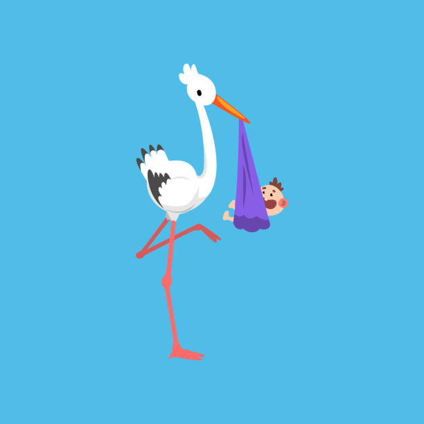 istock White stork delivering bundle with newborn baby, template for baby shower banner, invitation, poster, greeting card vector Illustration 1042897100