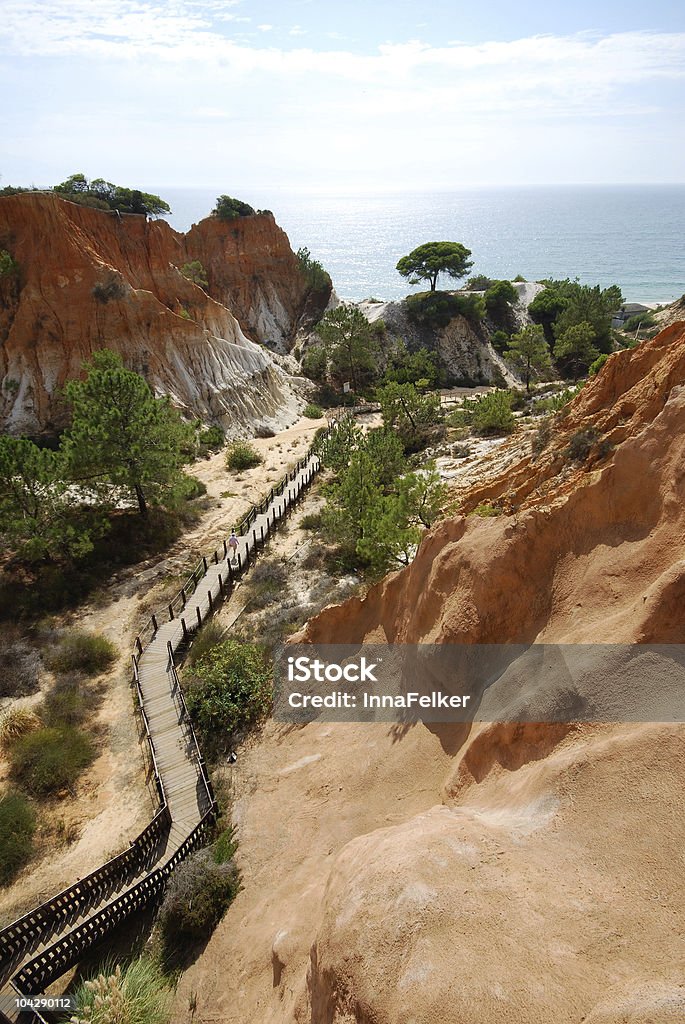 Rosso scogliere, le pinete e scala in legno, Algarve, Portogallo) - Foto stock royalty-free di Albero