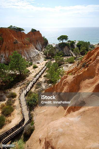 Rosso Scogliere Le Pinete E Scala In Legno Algarve Portogallo - Fotografie stock e altre immagini di Albero