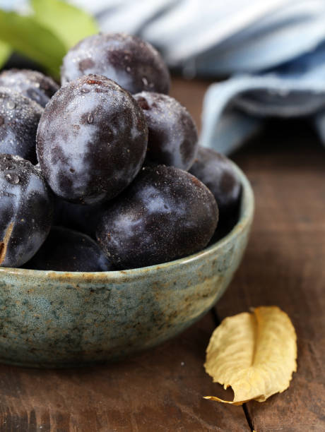 ripe organic violet plums - 11275 imagens e fotografias de stock