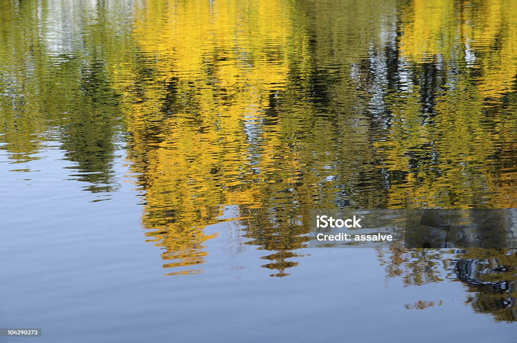 reflections on water surface of trees in autumn  After Work Stock Photo