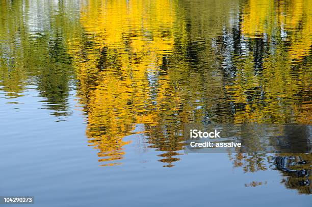 Reflections On Water Surface Of Trees In Autumn Stock Photo - Download Image Now - After Work, Autumn, Autumn Leaf Color