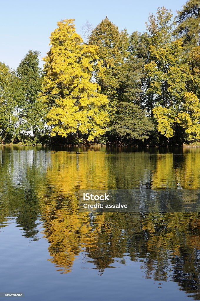 Arbres de l'automne - Photo de Activité de loisirs libre de droits