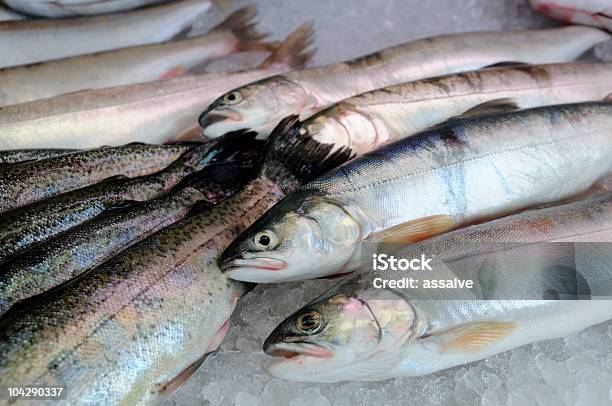 Trota A Fishmarket Fresco - Fotografie stock e altre immagini di Animale - Animale, Cibo, Composizione orizzontale