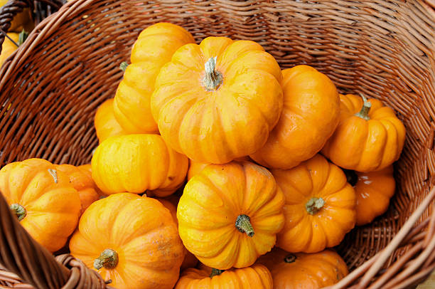 istock pumpkins at farmer's market 104290343