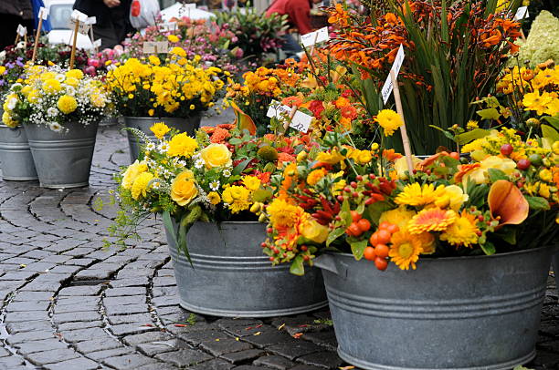 istock flower market series 104290355