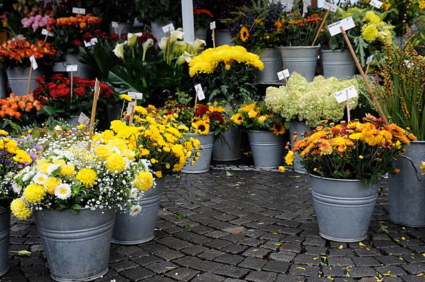 istock flower market series 104290372