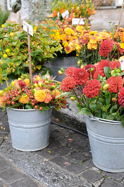 istock flower market series 104290377