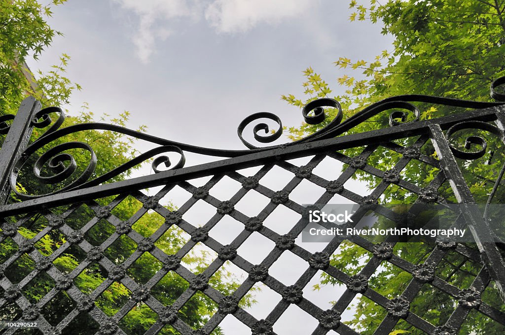 Wrought Iron Gate, Charleston, South Carolina  Charleston - South Carolina Stock Photo
