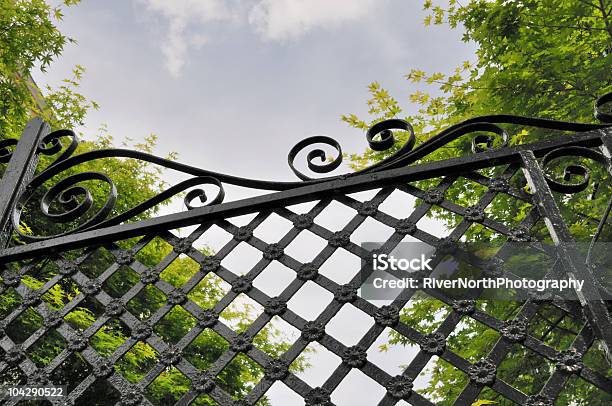 Wrought Iron Gate Charleston South Carolina Stock Photo - Download Image Now - Charleston - South Carolina, Bush, Color Image