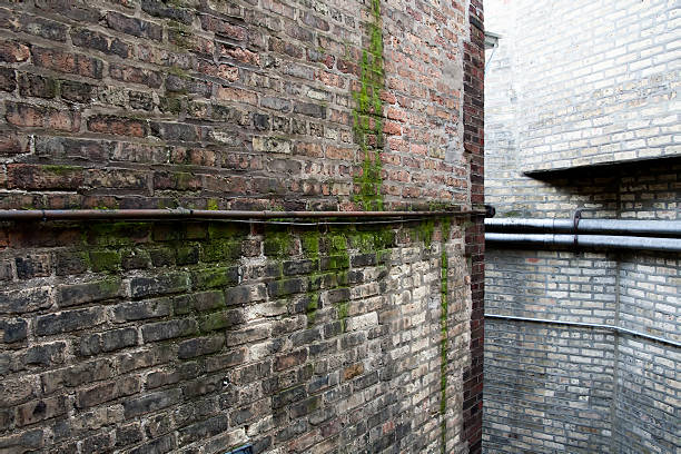 Mossy pared de ladrillos - foto de stock