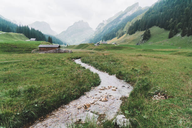 Au, Austria, 09/23/2020. A traditional Austrian farmhouse made of wood in a green alpine pasture at the foot of the Kanisfluh mountain, under a cloudy sky,  village of Au..